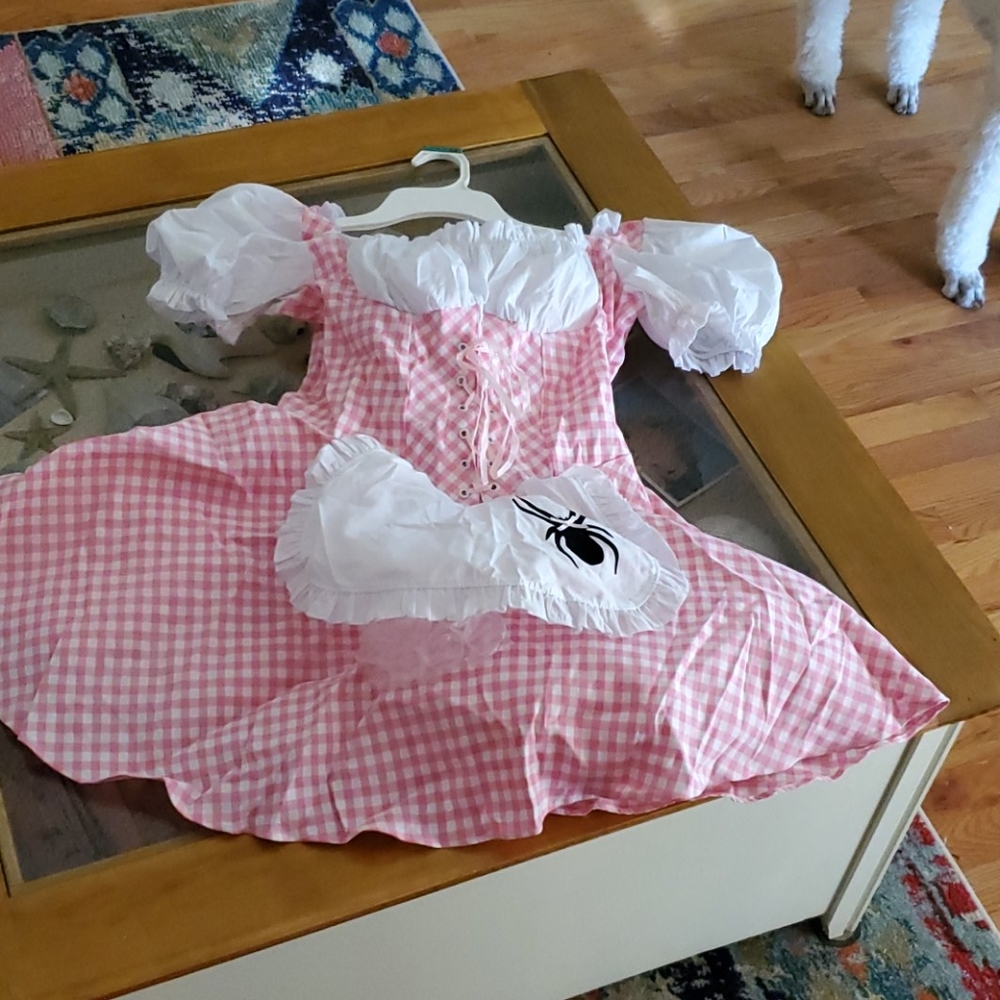 Adult woman's little miss muffet Halloween costume